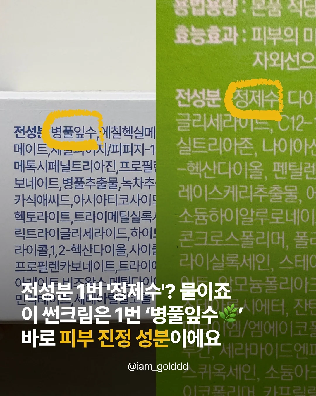 젠슨 황 CEO의 '지적 정직성' 리더십 2