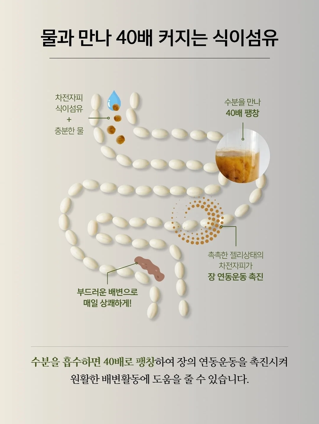 출산 정부 지원금 정보 6