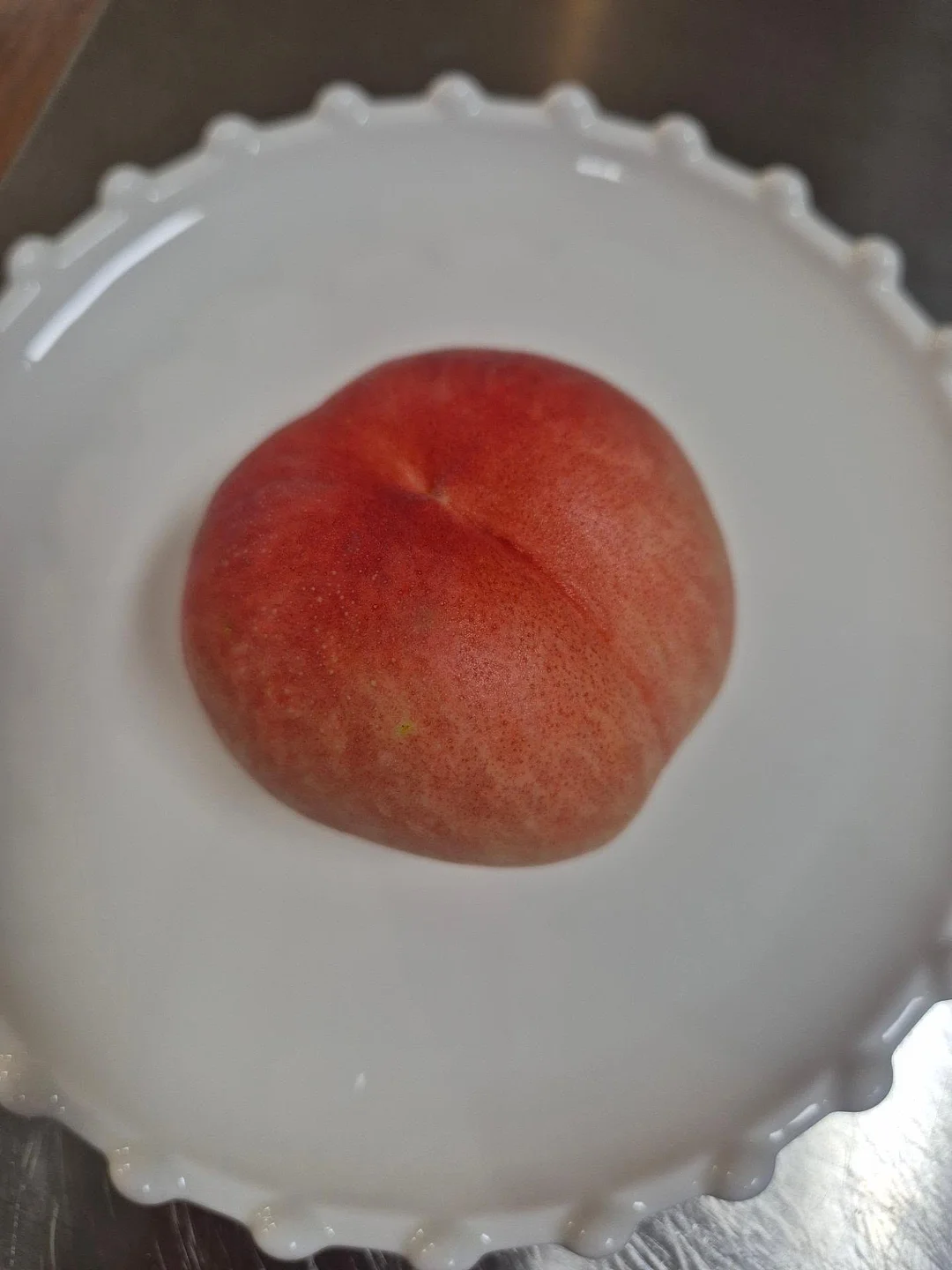 스카프 1
