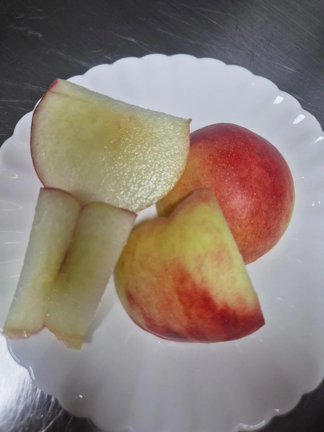 스카프 4