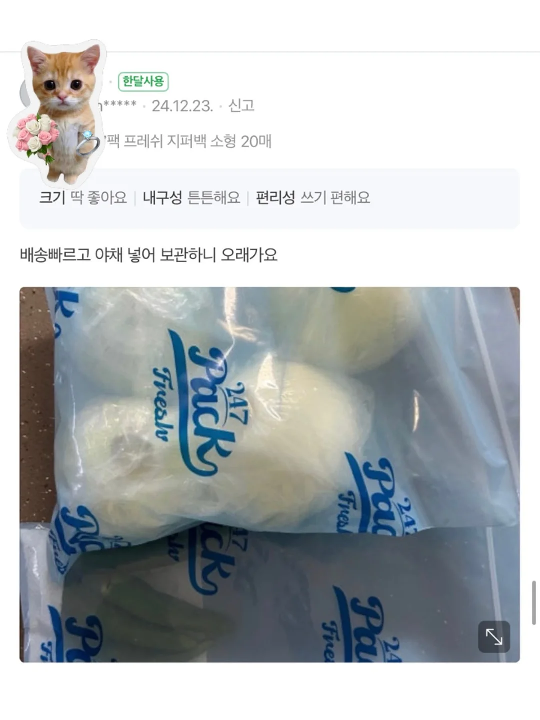 혜괴 난초 뿌리 향꽂이 및 벌레먹은 잎 이케바나 홀더 3