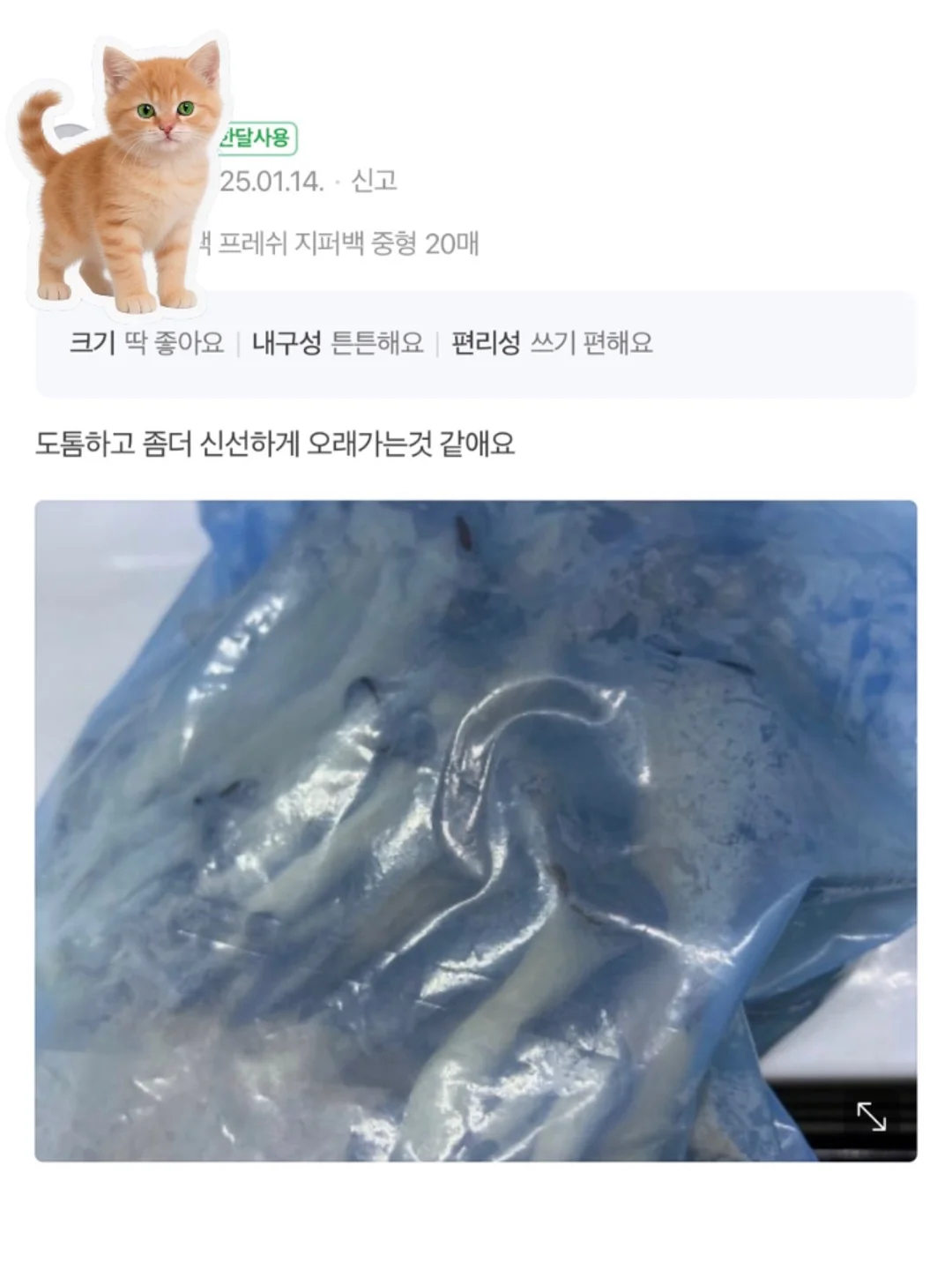 혜괴 난초 뿌리 향꽂이 및 벌레먹은 잎 이케바나 홀더 4