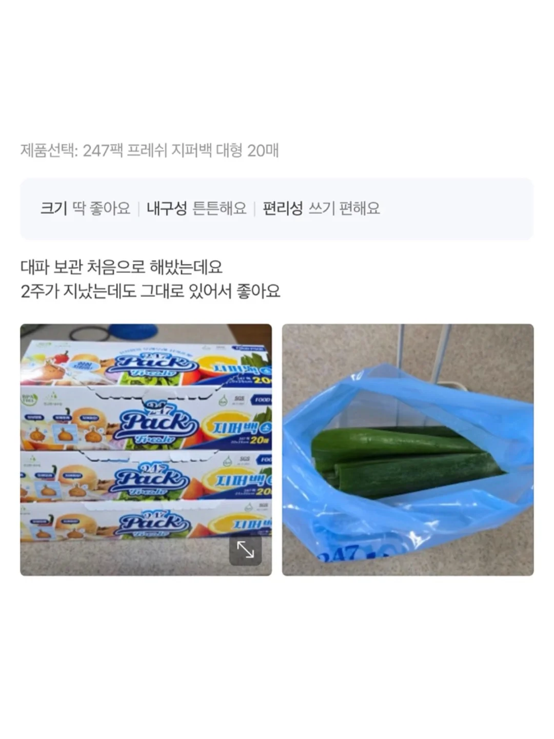 혜괴 난초 뿌리 향꽂이 및 벌레먹은 잎 이케바나 홀더 5