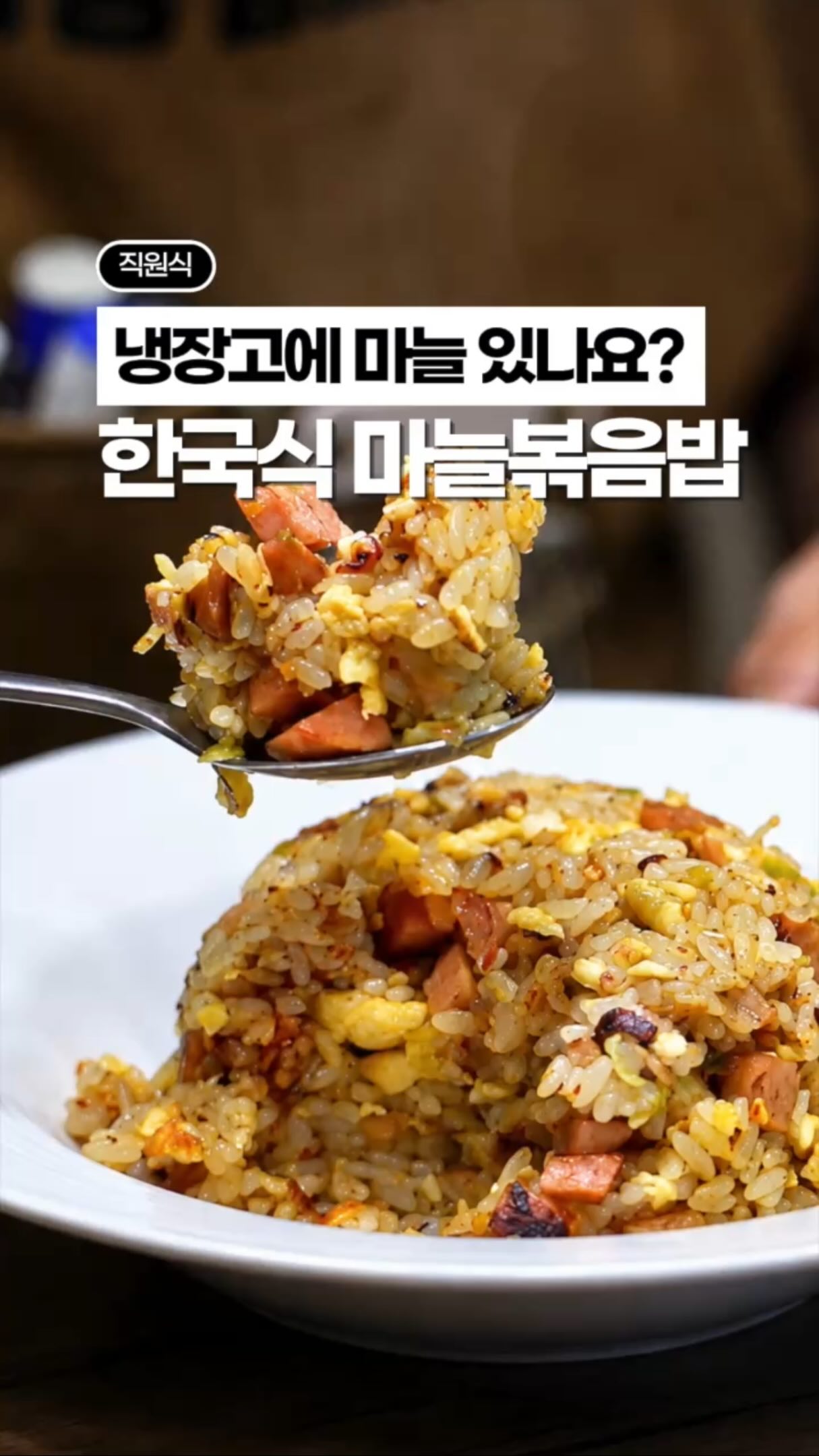 데일리 셋업