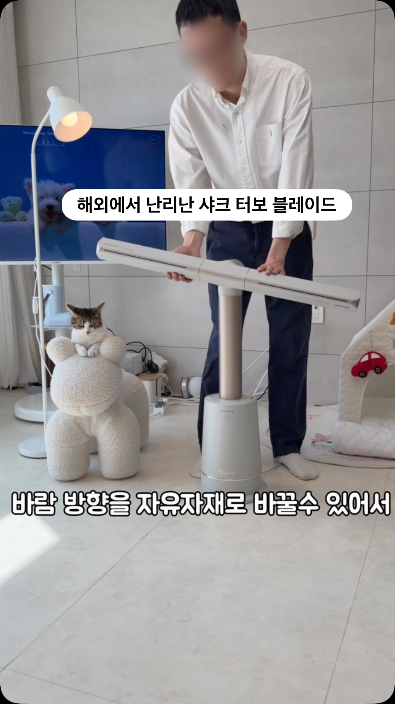 장미 코디
