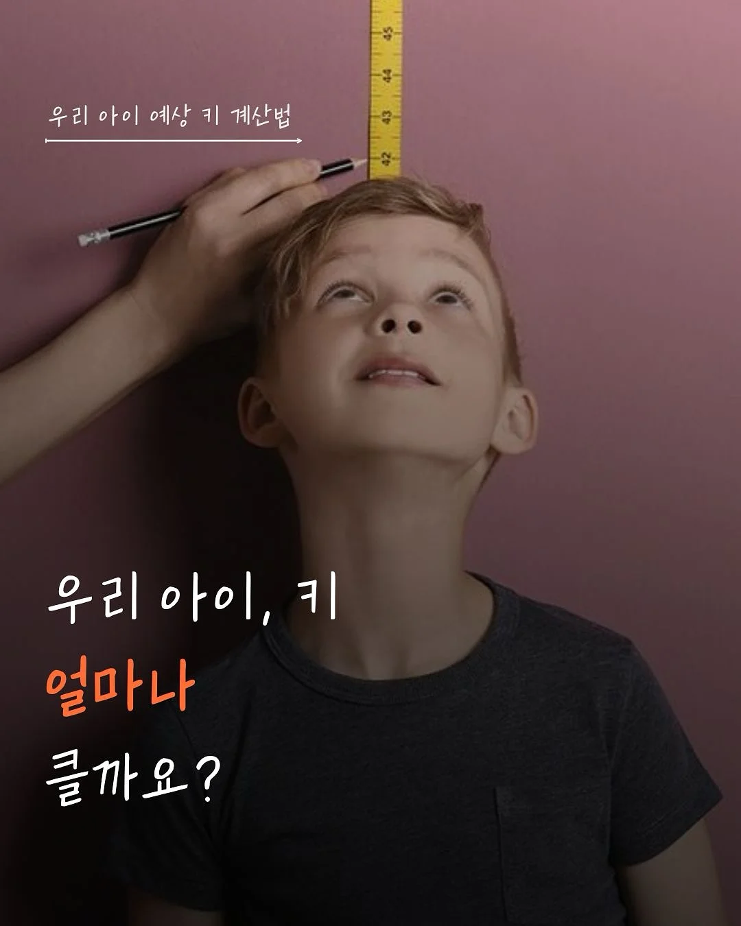 코일리콜리브리 매쉬백 1