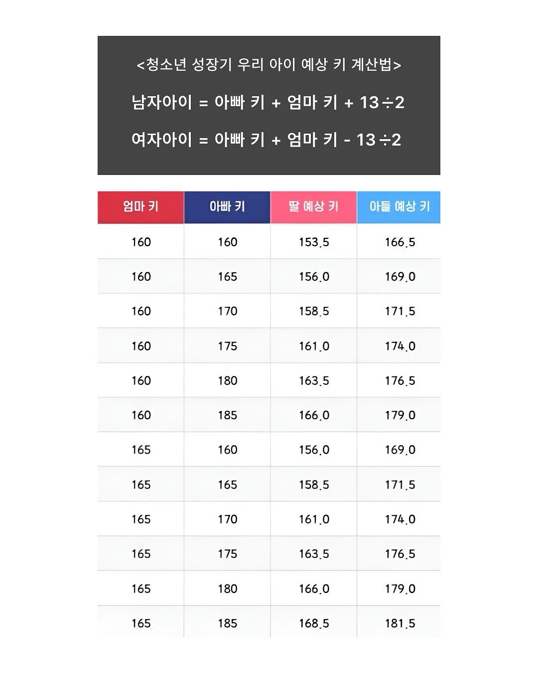 코일리콜리브리 매쉬백 2