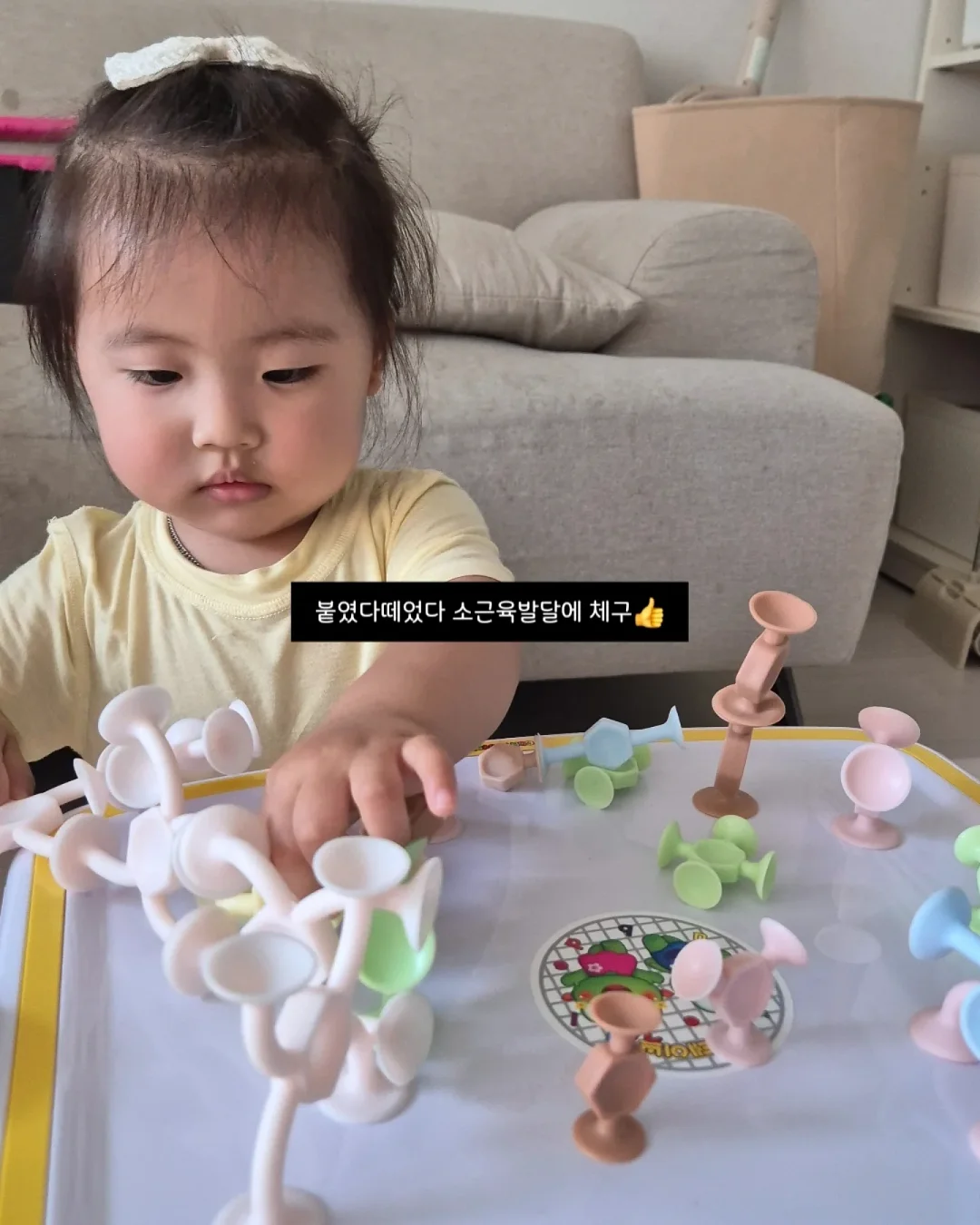 워리스톤 클레이 키트 8