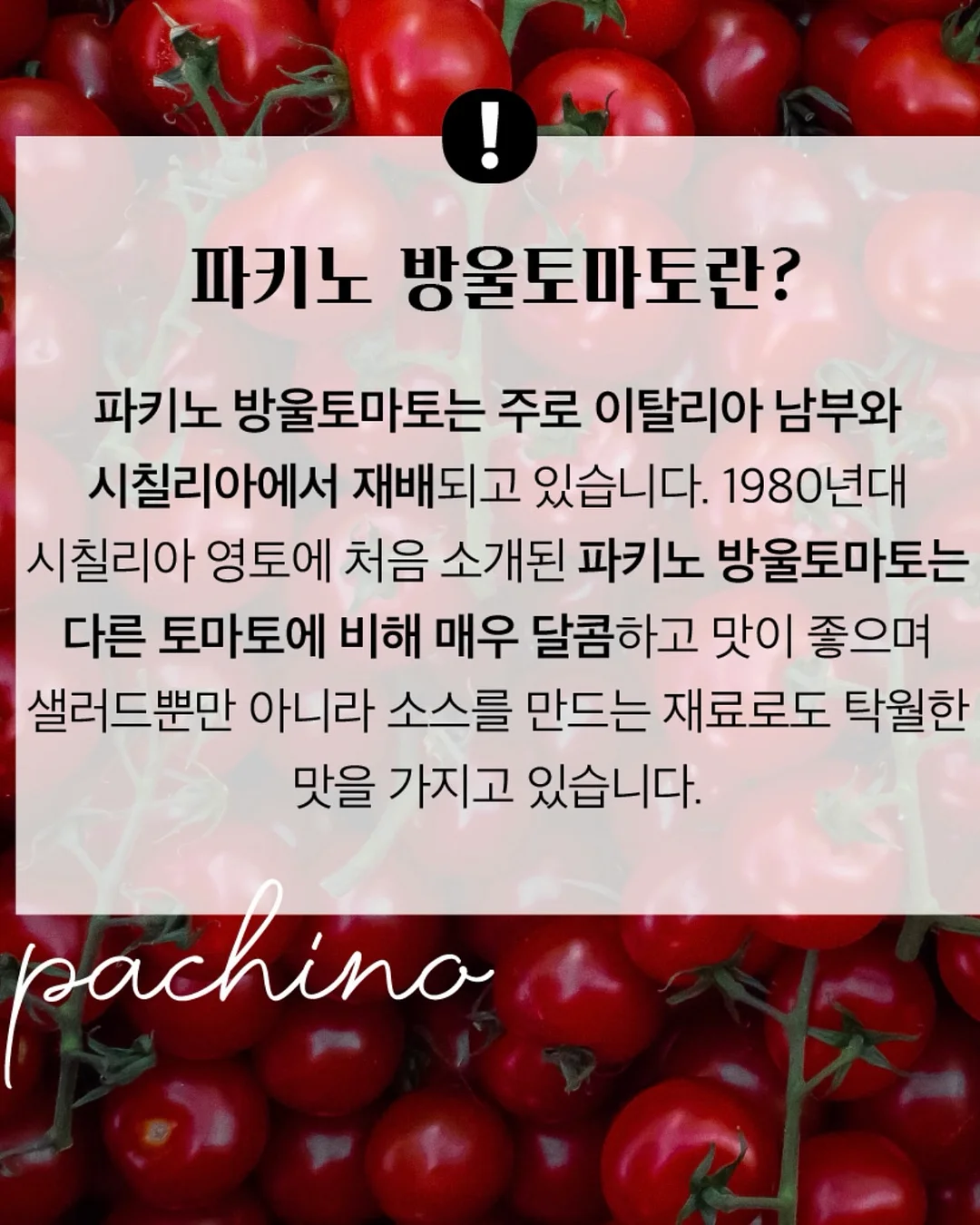 삿포로 한정 키링 14