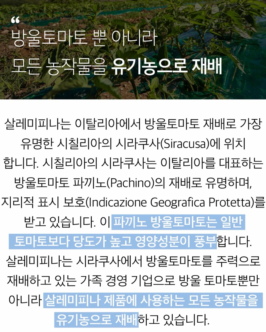 삿포로 한정 키링 15