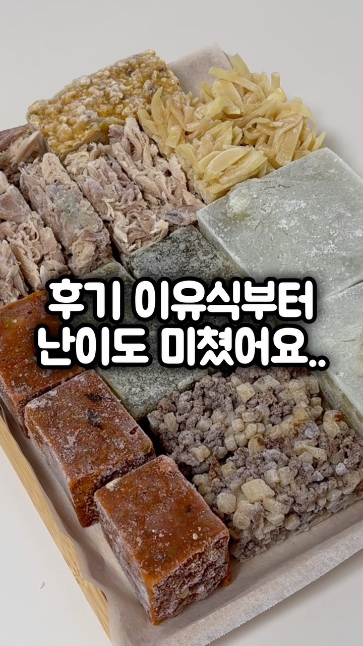 만두 모음