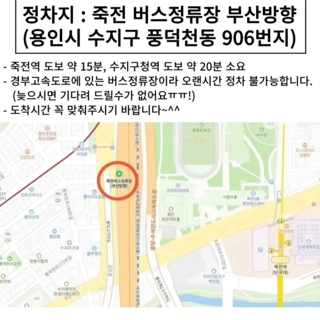 골드바 테라피 10