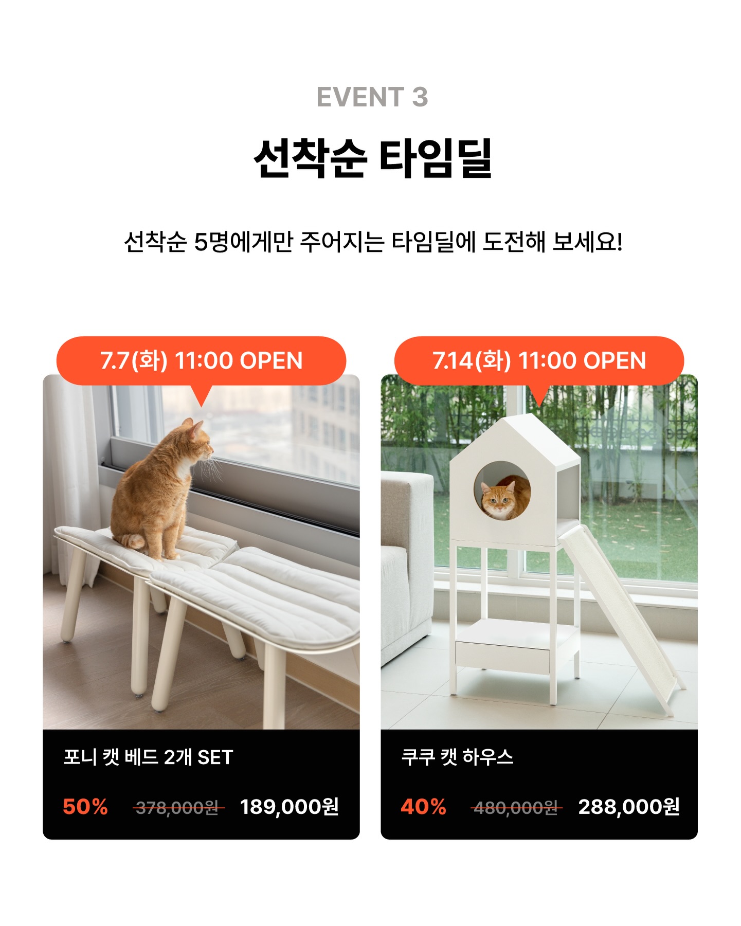 중3 과학 내신 관리 5