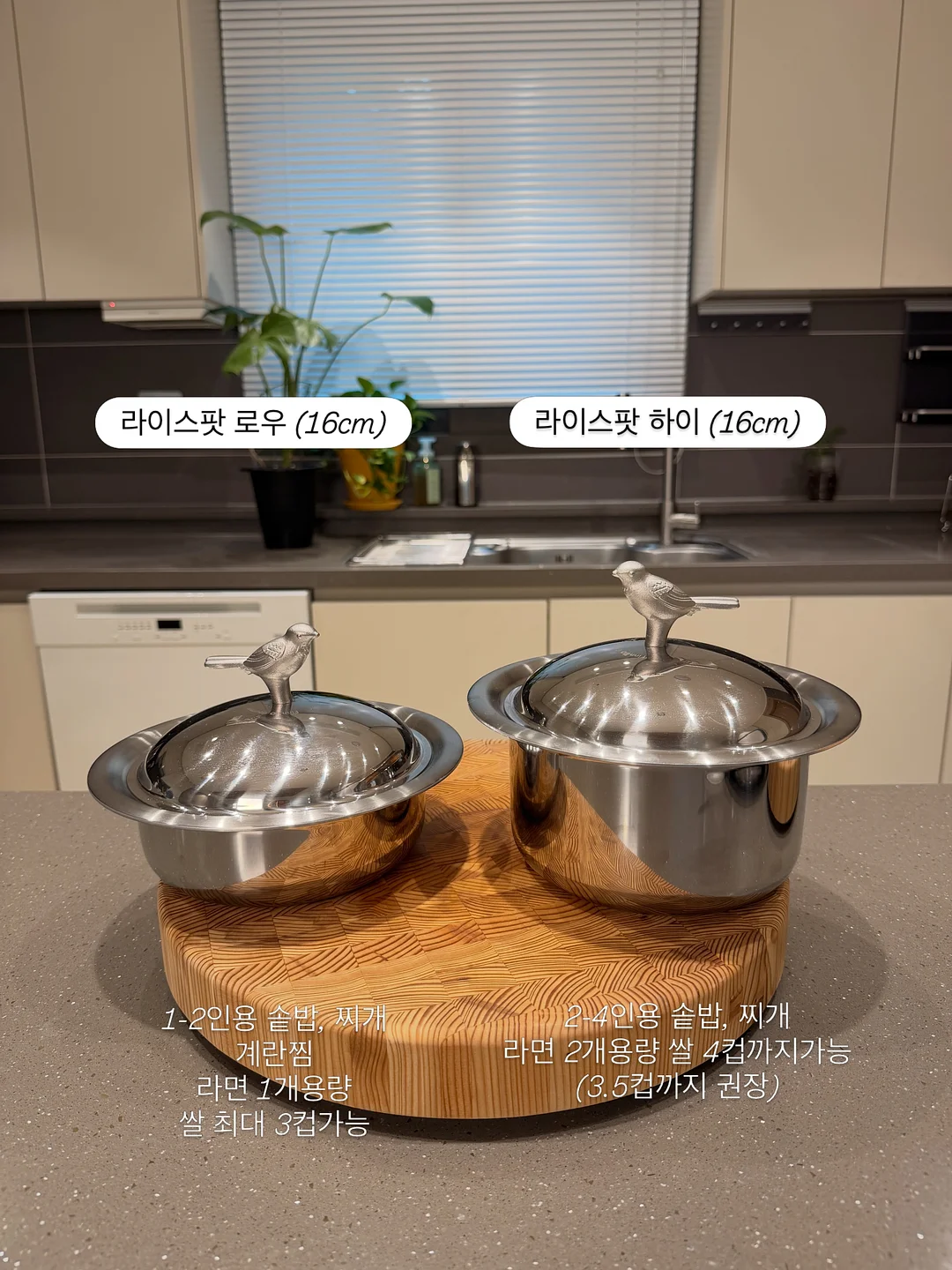 LG전자 구독 7