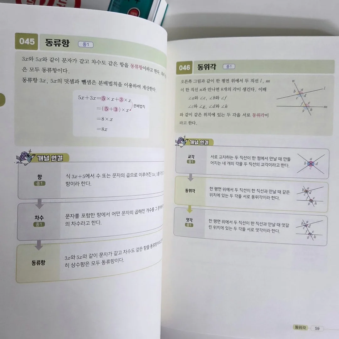 체리 샌드 15