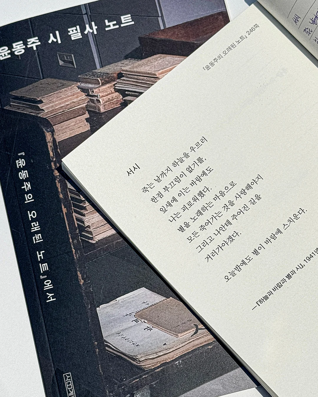 니키 슈나우저 키링 2