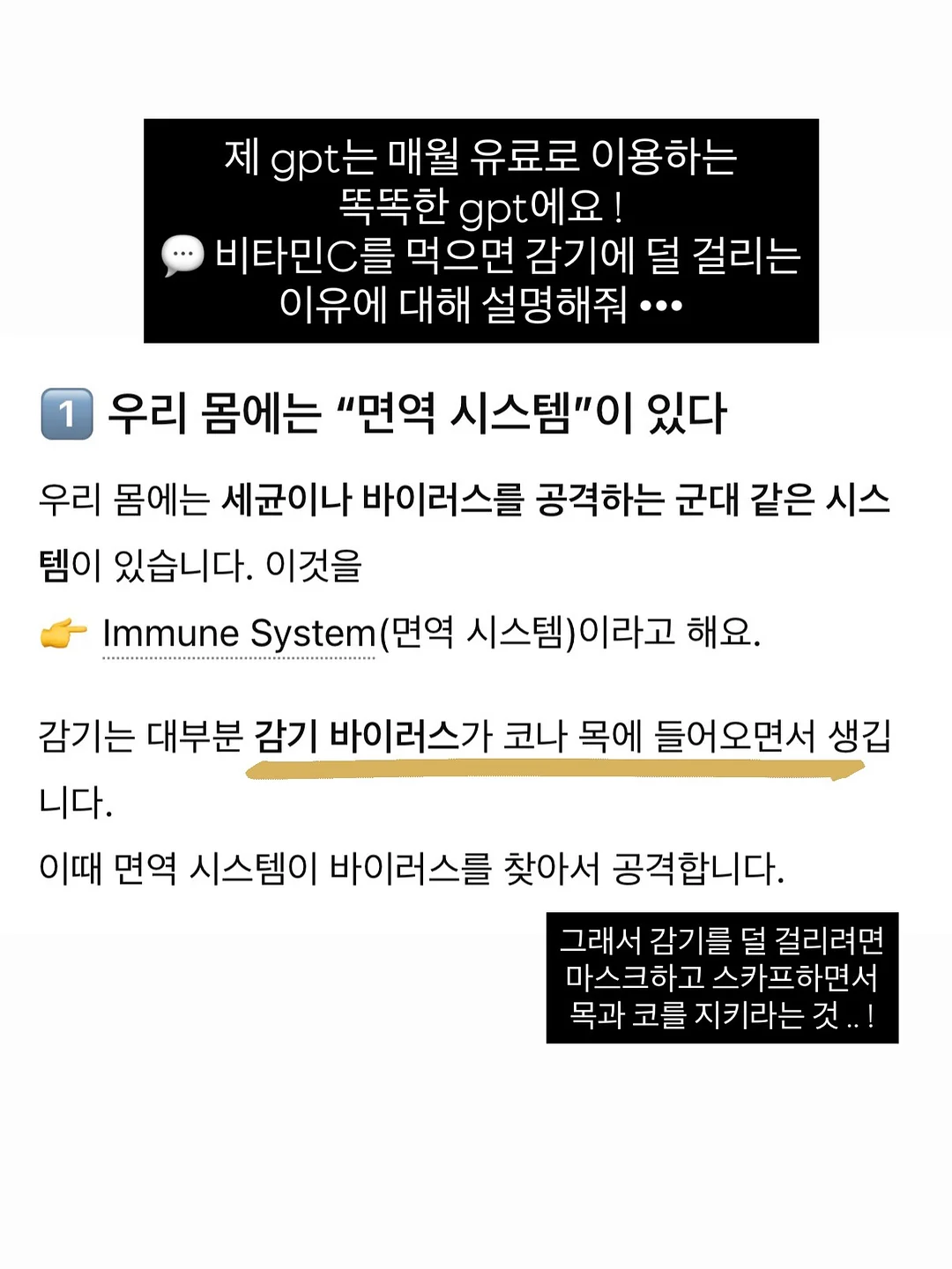 닌자 크리스피 에프 3