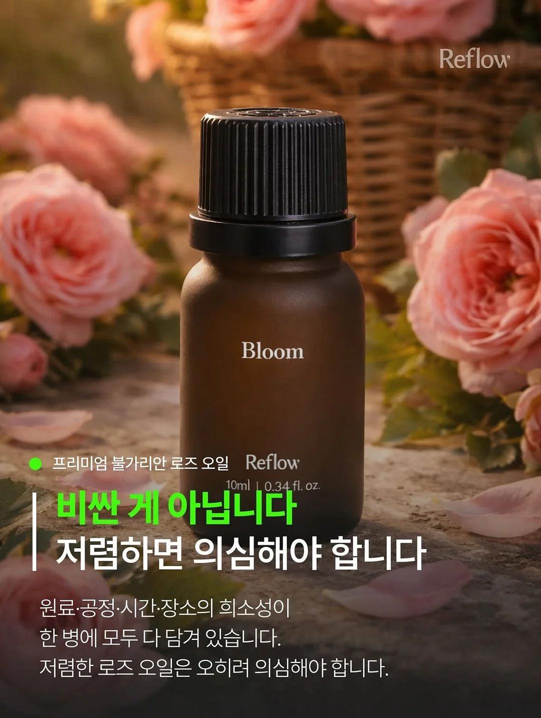 스위스 수직 개폐 캐리어 2