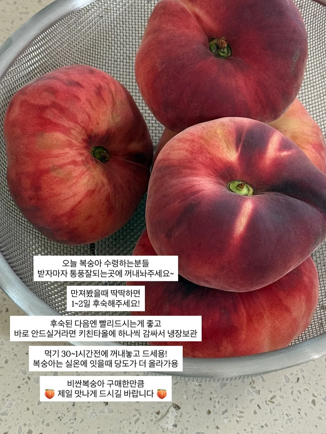 닭곰탕 1