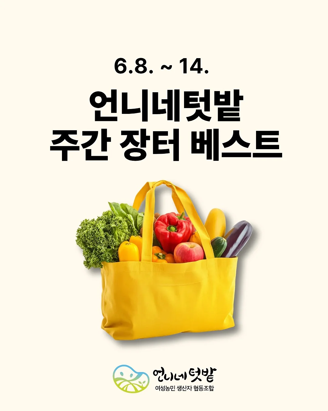 로킷아메리카 NMN 1