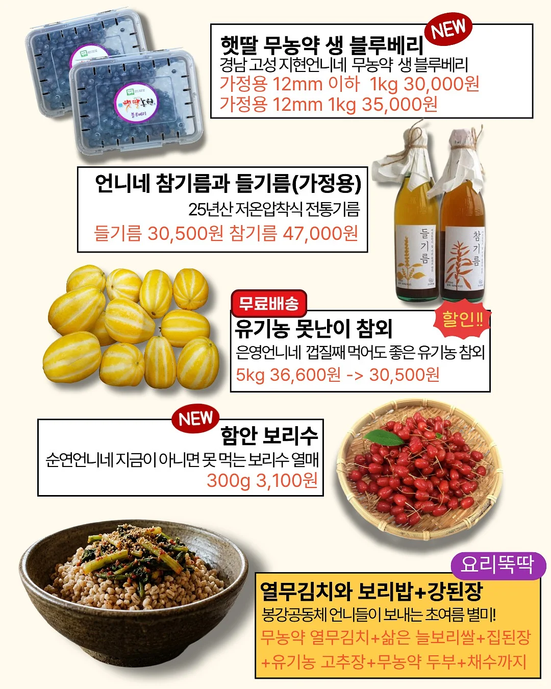 로킷아메리카 NMN 2