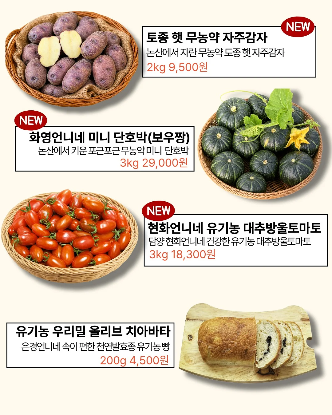 로킷아메리카 NMN 3