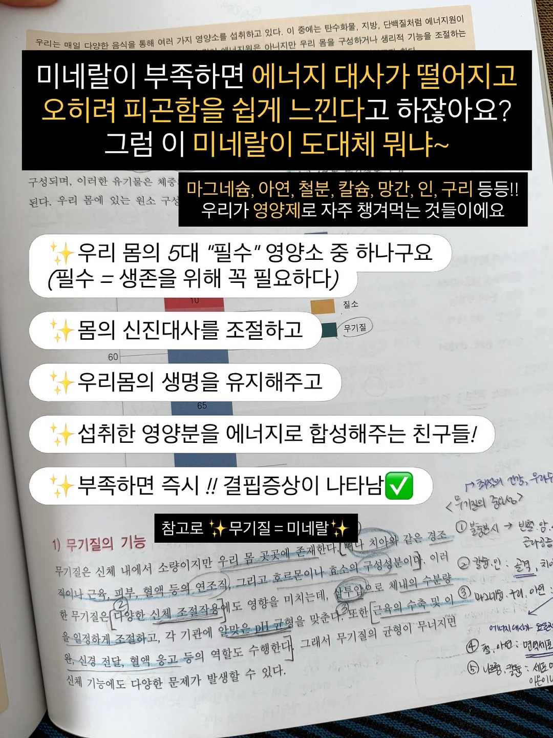 여름 가죽 가방 4