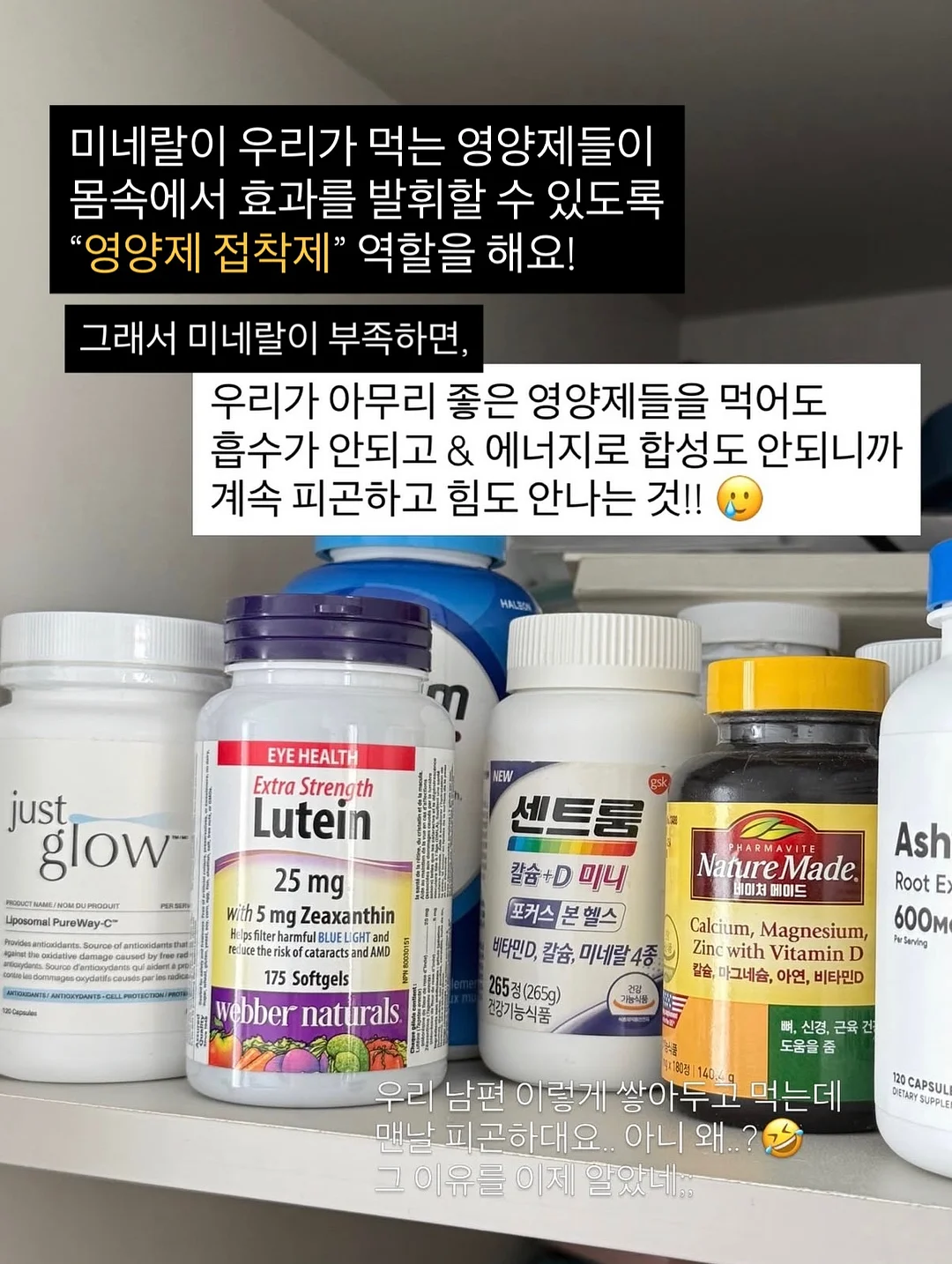 여름 가죽 가방 5