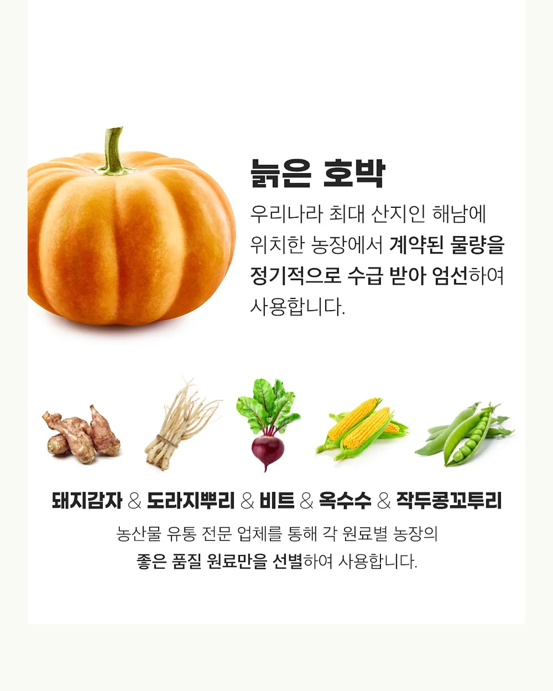 브랜든 압축파우치 2
