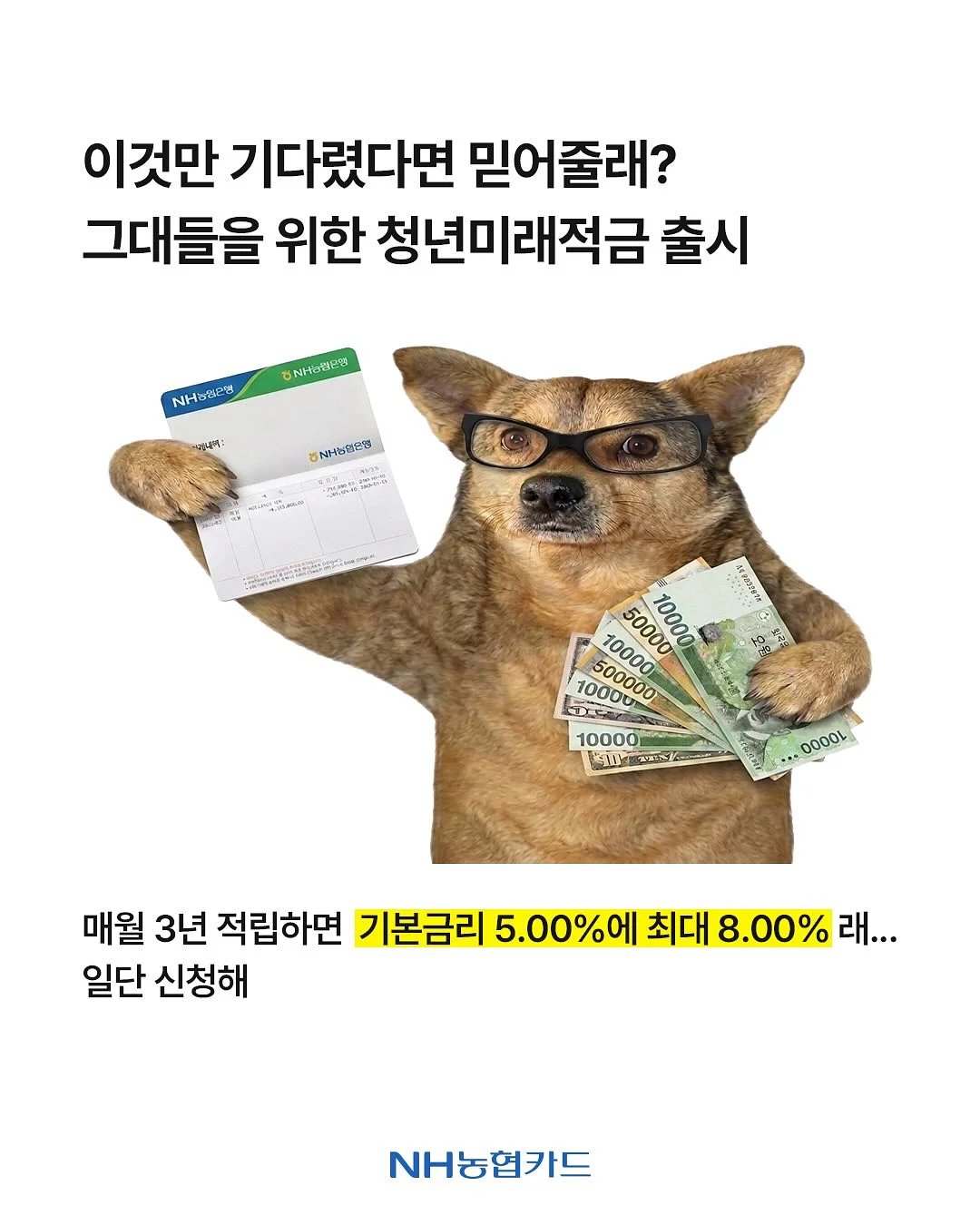 파충류 케이지 2