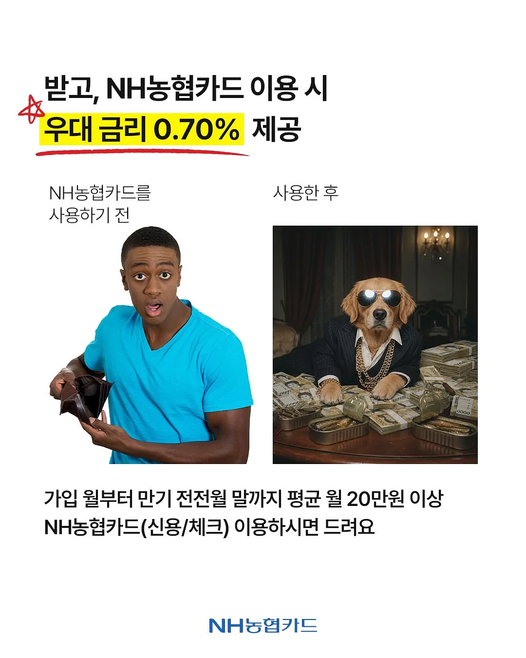파충류 케이지 3