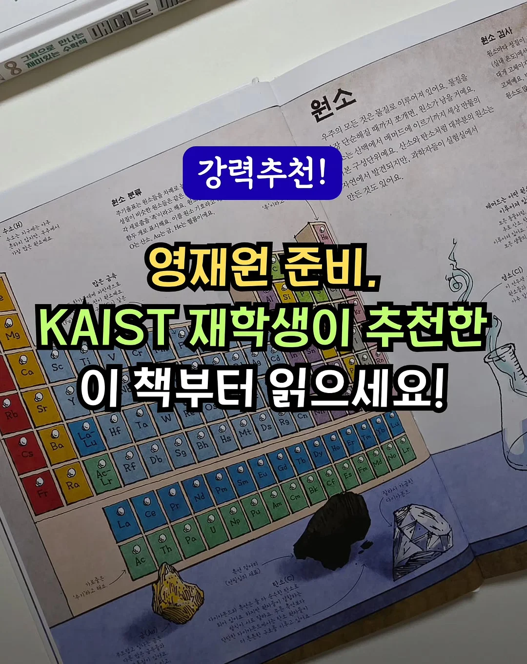 봄 기다리는 꽃 1