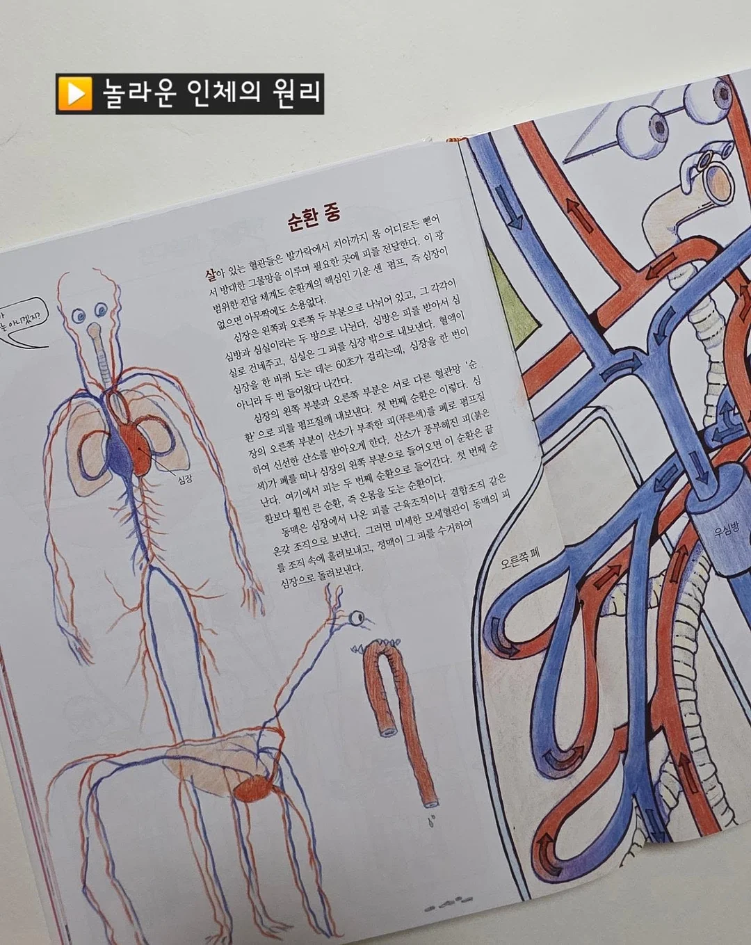 봄 기다리는 꽃 11