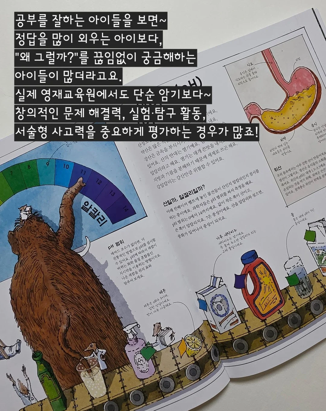 봄 기다리는 꽃 14