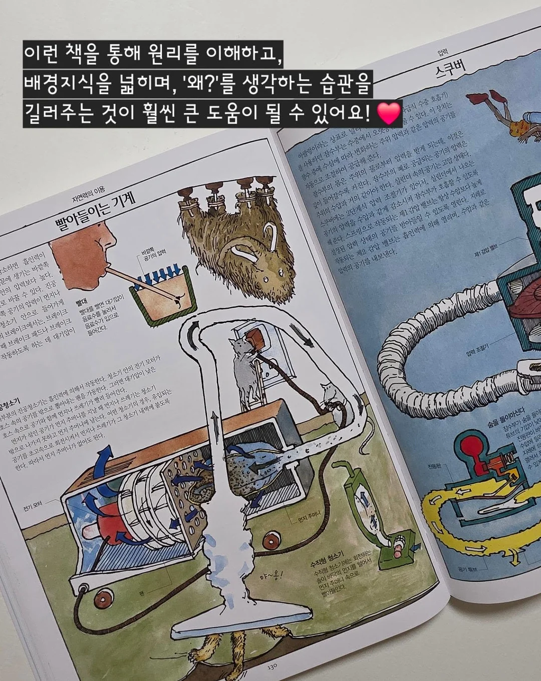 봄 기다리는 꽃 15