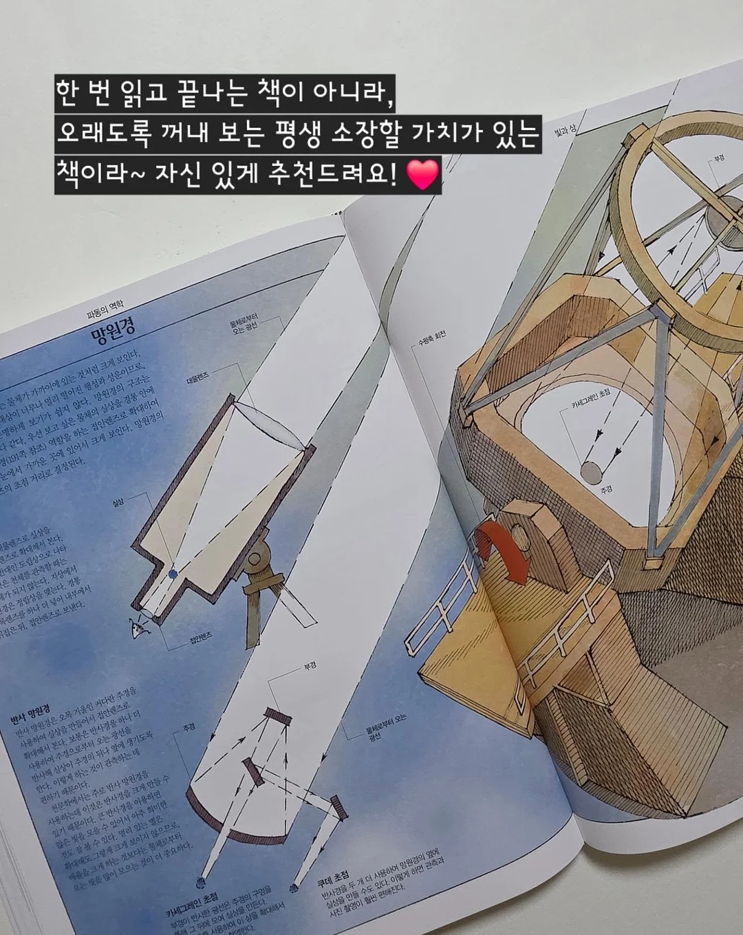 봄 기다리는 꽃 18