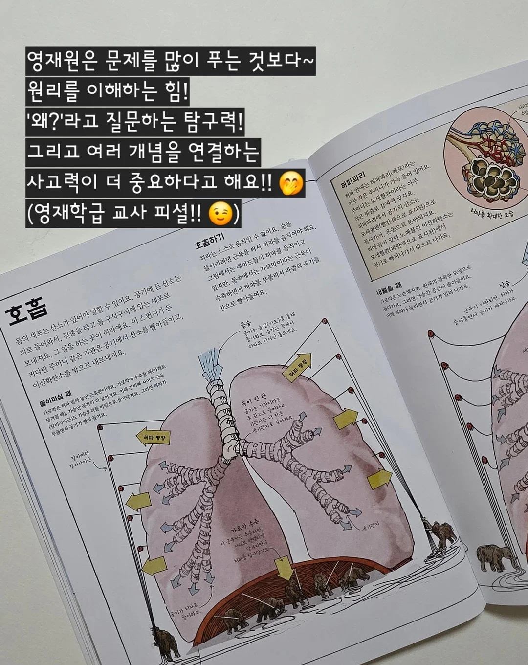 봄 기다리는 꽃 2