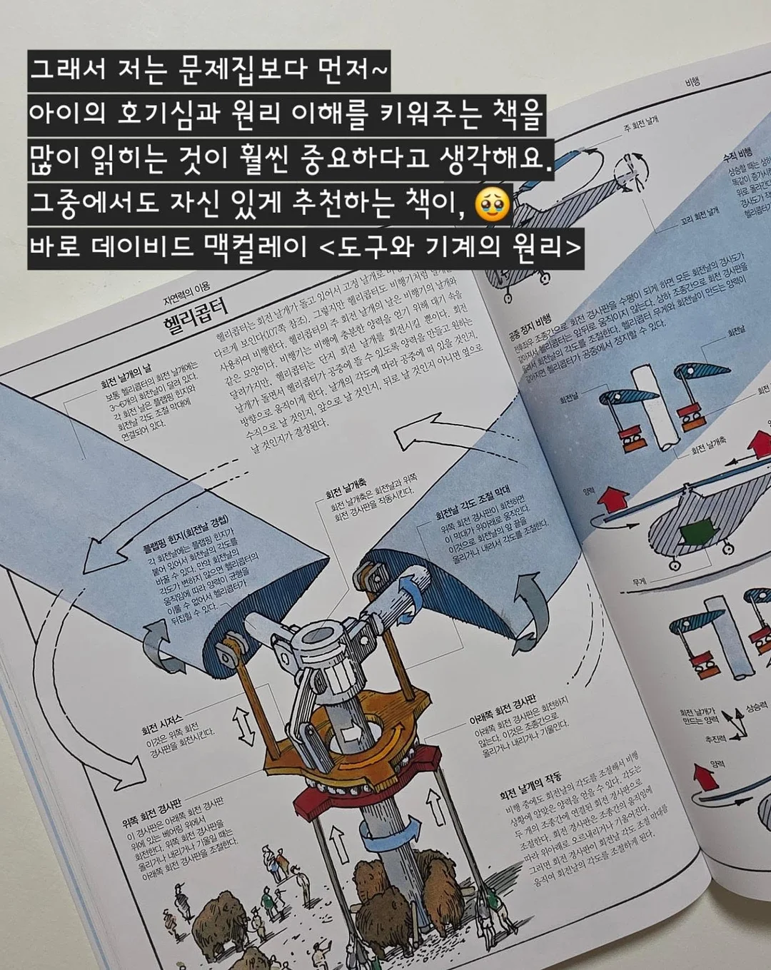 봄 기다리는 꽃 3