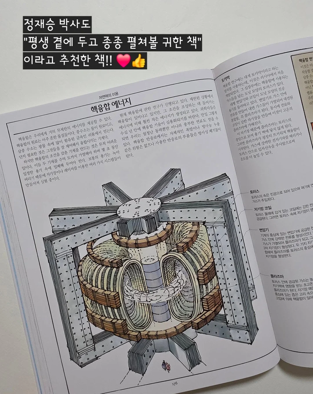봄 기다리는 꽃 5