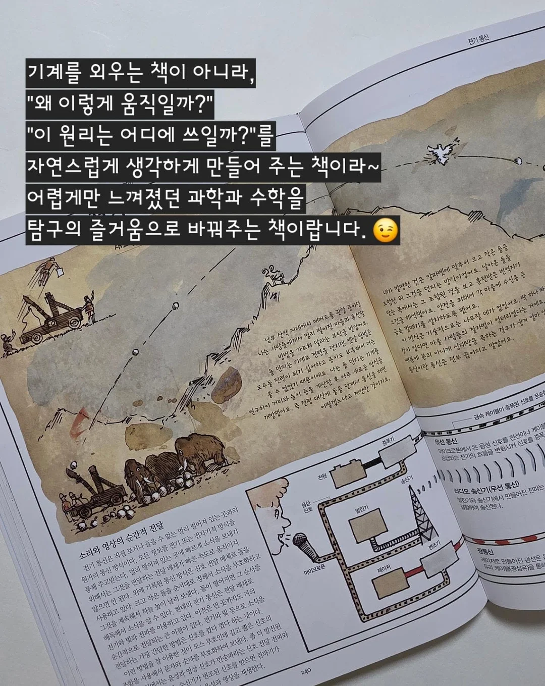봄 기다리는 꽃 6