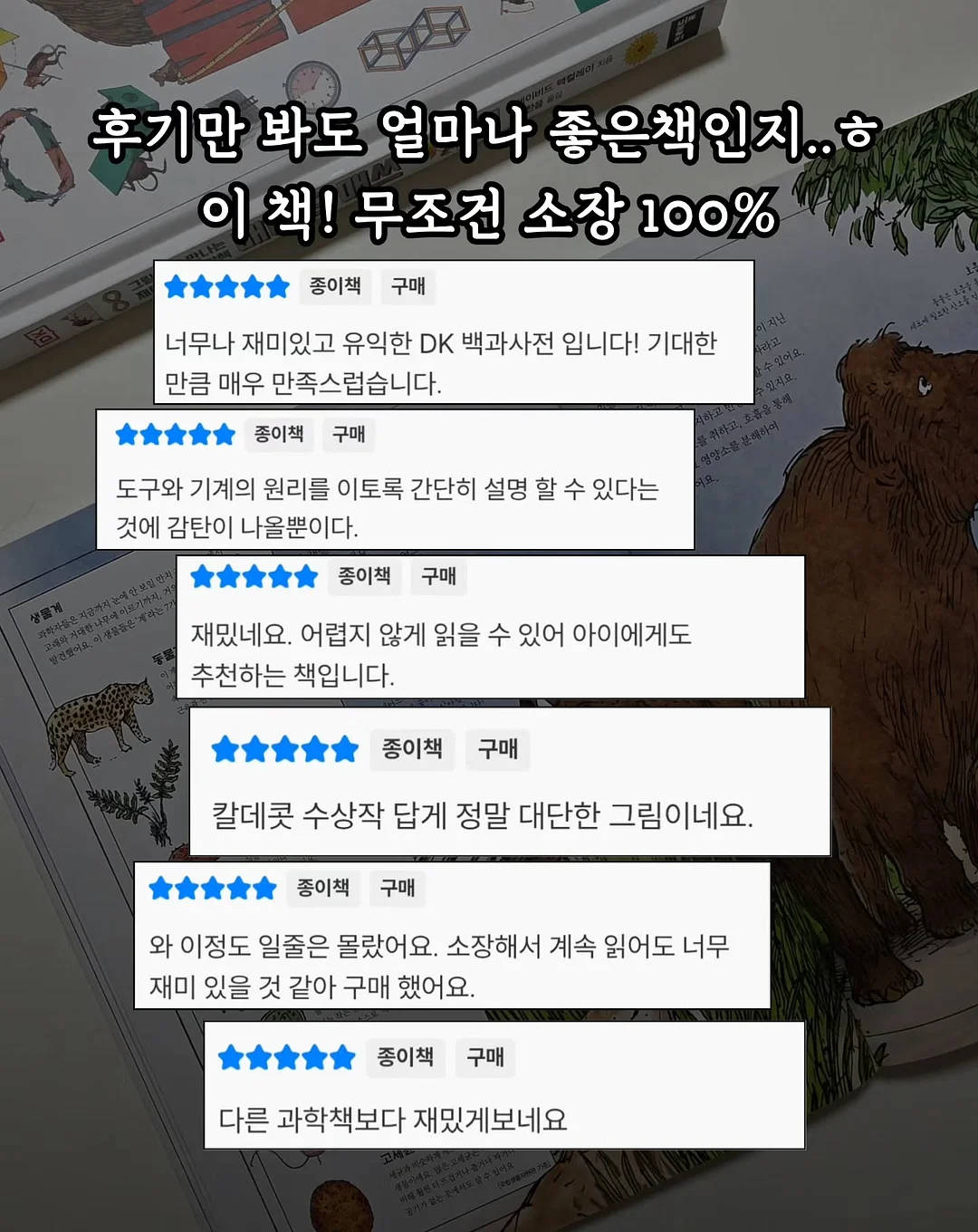 봄 기다리는 꽃 7