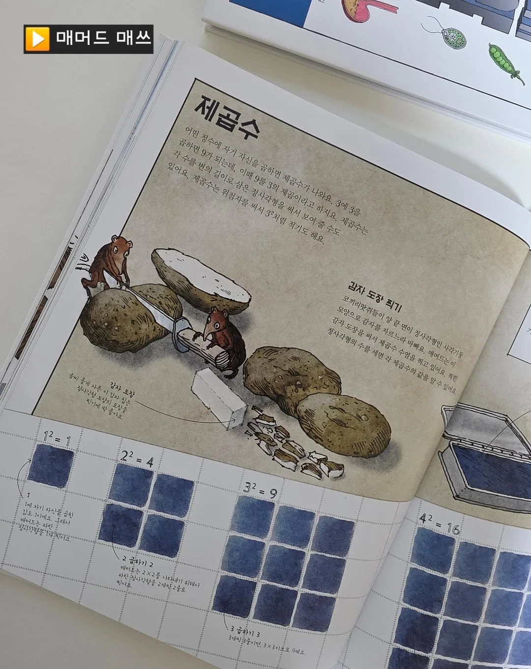봄 기다리는 꽃 10