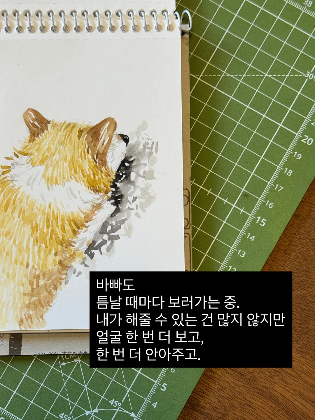 브룬 네온 스트라이프 침구 14