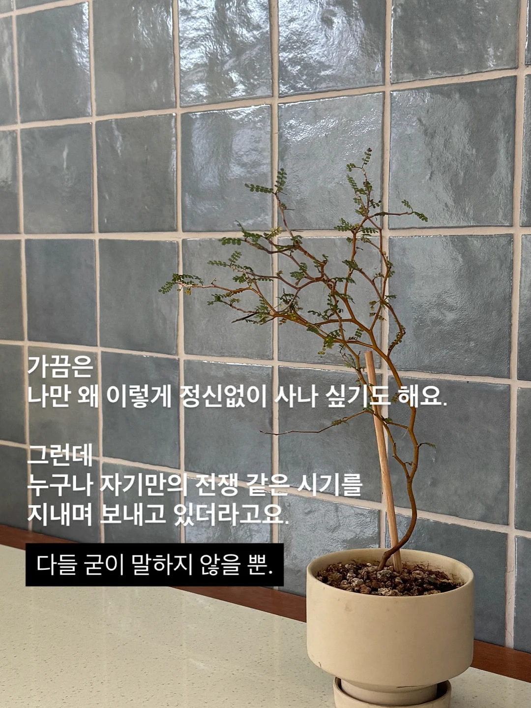 브룬 네온 스트라이프 침구 18