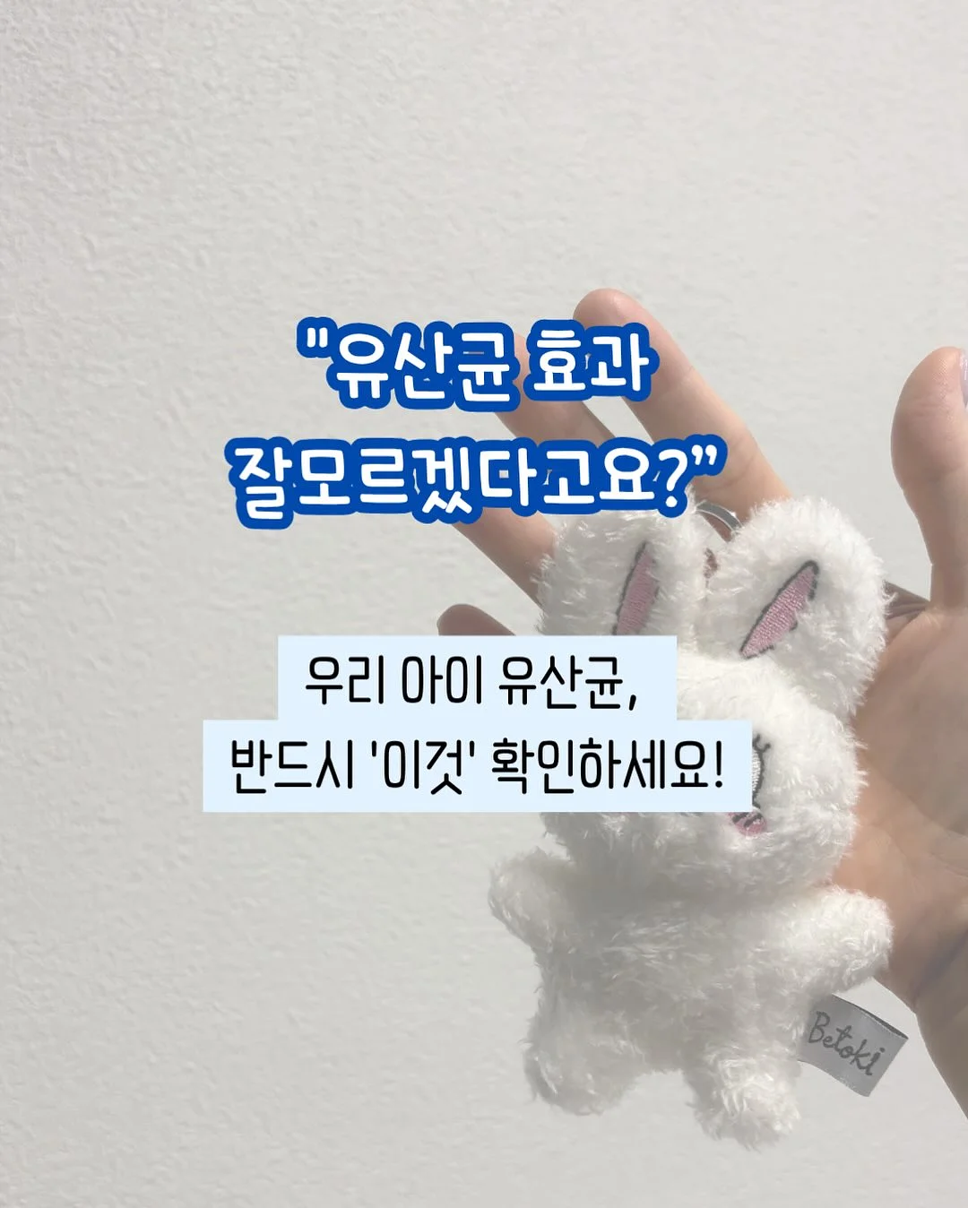 노크노크 14기 멤버십 1