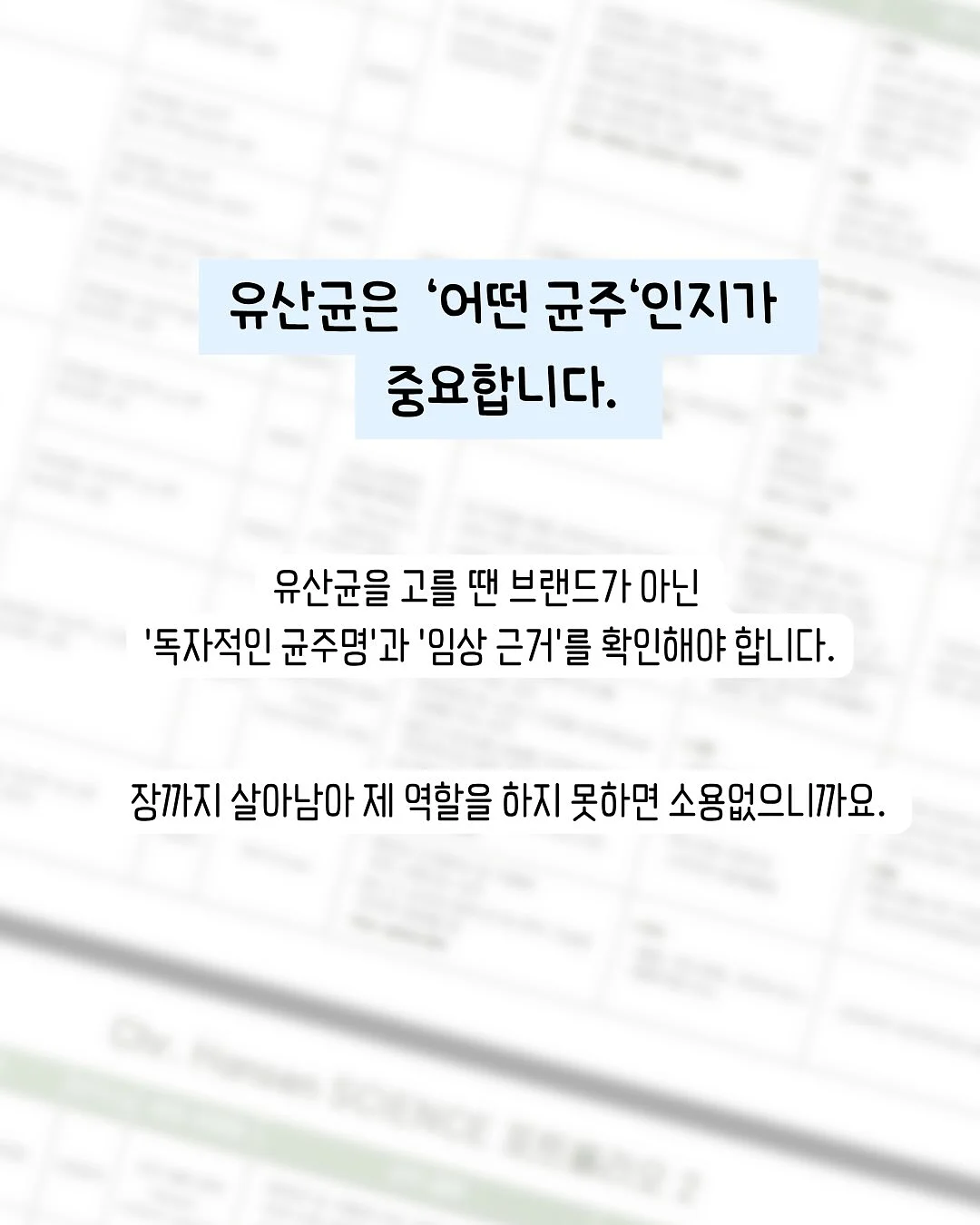 노크노크 14기 멤버십 2