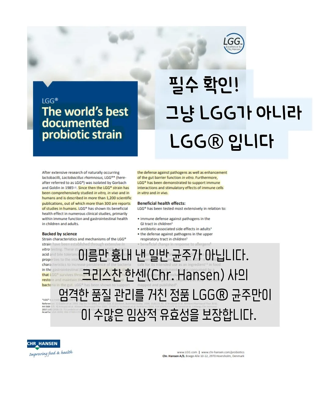 노크노크 14기 멤버십 4