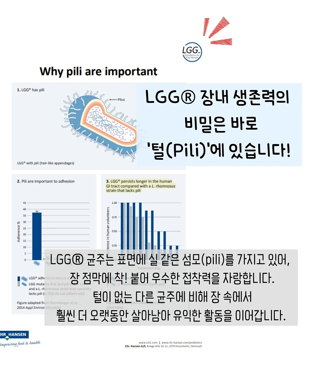노크노크 14기 멤버십 5
