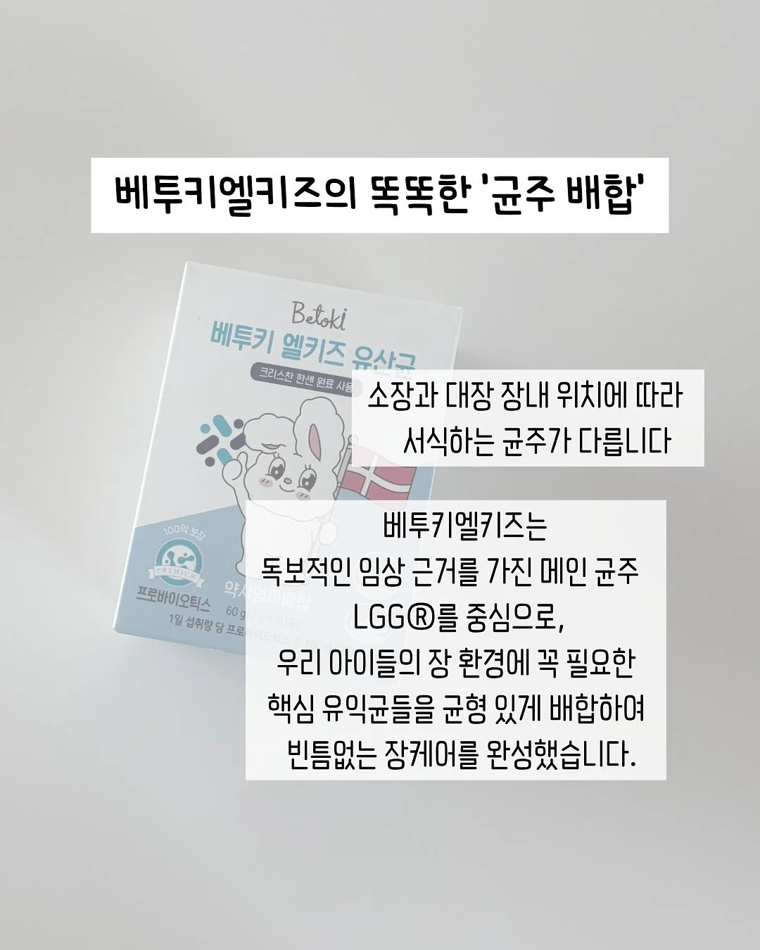노크노크 14기 멤버십 7