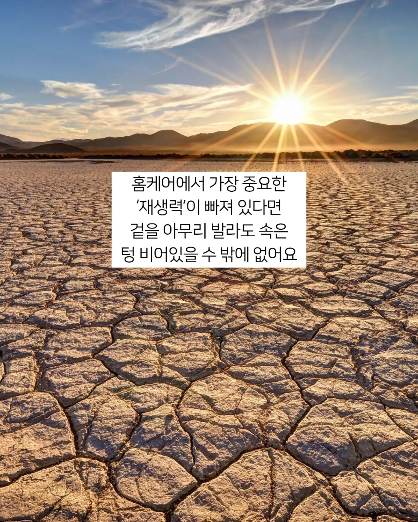 피크닉 세트 대여 2
